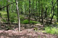 Homesite for sale in Pike County, Pennsylvania