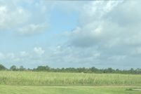 Land for sale in Calcasieu Parish, Louisiana