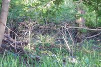 Land for sale in Berkeley County, West Virginia