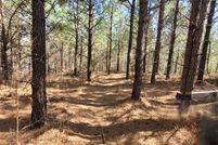 Land for sale in Stewart County, Tennessee