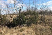 Land for sale in Calcasieu Parish, Louisiana