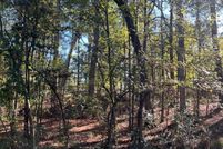Land for sale in Ouachita County, Arkansas