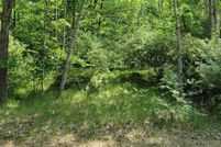 Land for sale in Isabella County, Michigan