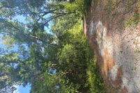 Land for sale in Dixie County, Florida