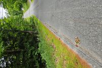 Land for sale in Sullivan County, New Hampshire