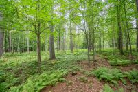 Land for sale in Saint Louis County, Minnesota