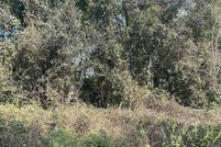 Land for sale in Camp County, Texas