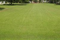 Land for sale in Jefferson Davis Parish, Louisiana