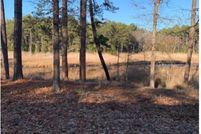 Land for sale in Sussex County, Delaware