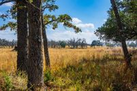 Land for sale in Gillespie County, Texas