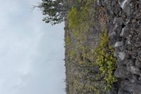 Land for sale in Hawaii County, Hawaii