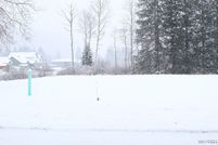 Land for sale in Cattaraugus County, New York