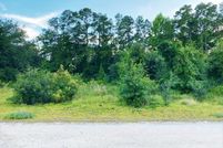 Land for sale in Dillon County, South Carolina