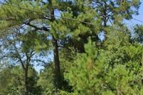 Land for sale in Lexington County, South Carolina