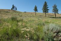Land for sale in Okanogan County, Washington