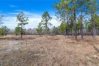 Land for sale in Beauregard Parish, Louisiana