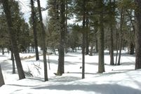 Land for sale in Colfax County, New Mexico