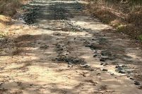 Undeveloped Land for sale in Angelina County, Texas