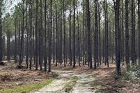 Land for sale in Angelina County, Texas