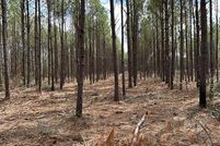 Land for sale in Angelina County, Texas