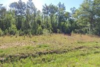 Land for sale in Beauregard Parish, Louisiana