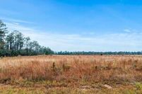 Land for sale in Beauregard Parish, Louisiana