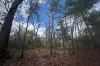 Land for sale in Northampton County, Virginia