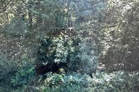 Land for sale in Douglas County, Wisconsin