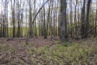 Land for sale in Grant County, West Virginia