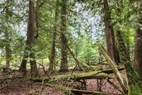 Land for sale in Mackinac County, Michigan