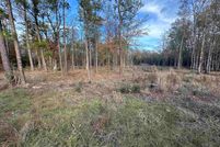 Land for sale in Jasper County, Texas