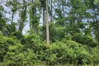 Undeveloped Land for sale in Jackson County, Mississippi