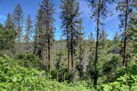 Land for sale in Nevada County, California