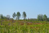 Land for sale in Osceola County, Michigan