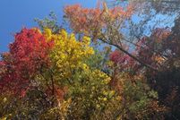 Land for sale in Gilmer County, Georgia