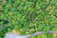 Land for sale in Allegany County, Maryland