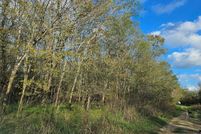 Land for sale in San Jacinto County, Texas