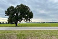 Land for sale in George County, Mississippi