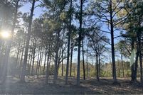 Land for sale in George County, Mississippi