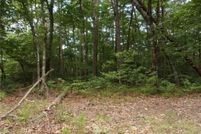 Land for sale in Dawson County, Georgia