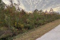 Undeveloped Land for sale in Spalding County, Georgia