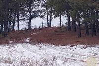 Land for sale in Rosebud County, Montana