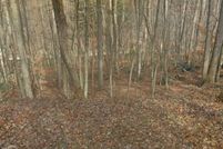 Homesite for sale in Franklin County, Virginia