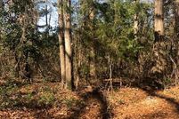 Land for sale in Rusk County, Texas