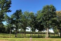 Land for sale in Rapides Parish, Louisiana