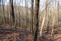 Land for sale in Hardy County, West Virginia