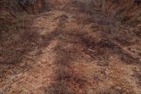 Land for sale in Amite County, Mississippi