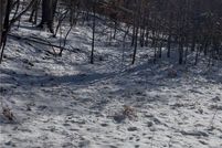 Undeveloped Land for sale in Putnam County, West Virginia