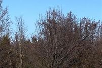 Land for sale in McIntosh County, Oklahoma