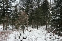 Land for sale in Oneida County, Wisconsin